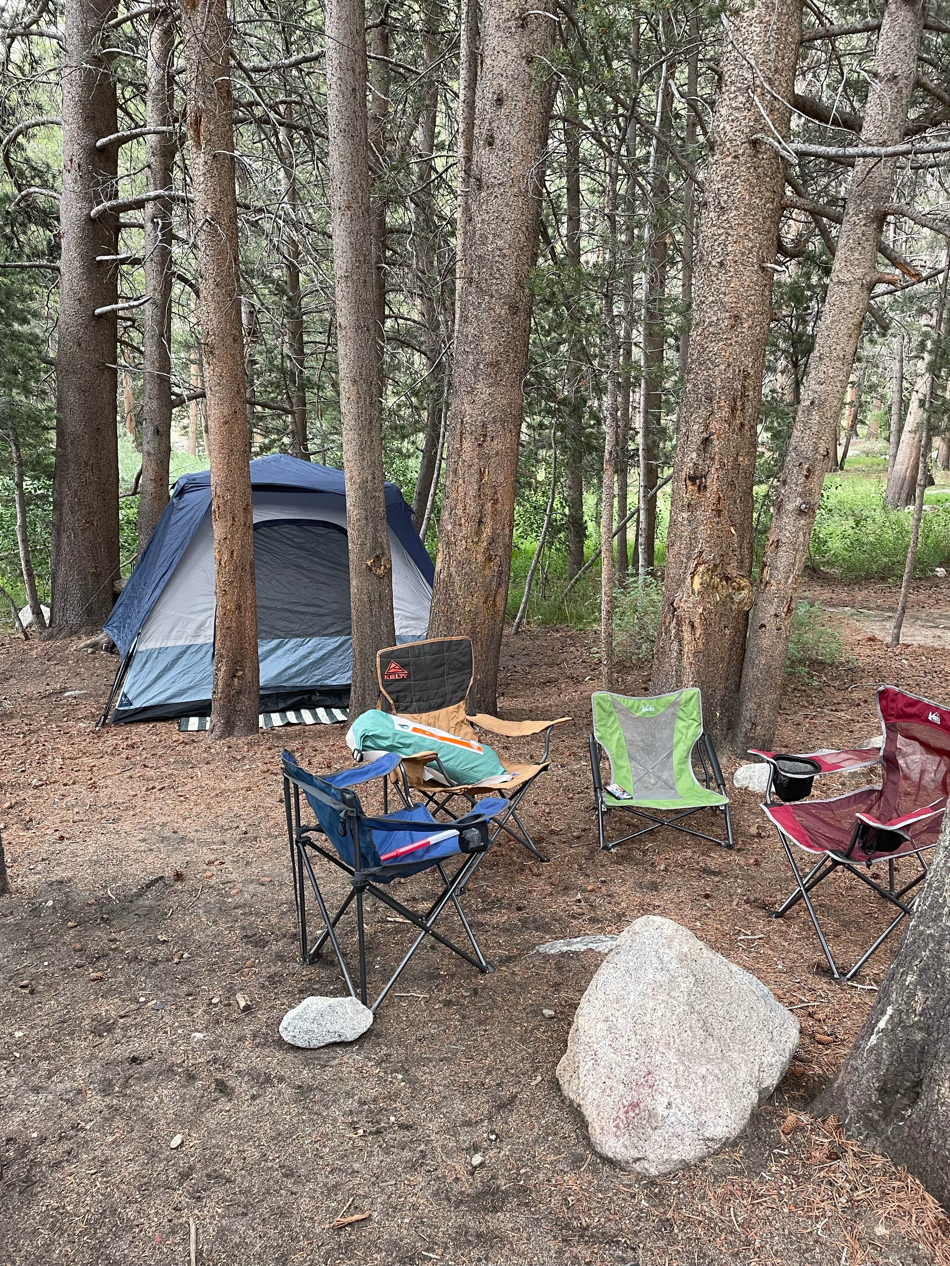 Camper submitted image from East Fork Campground - 1