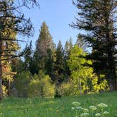 Review photo of Bridger-Teton National Forest by Sigrid O., July 8, 2022