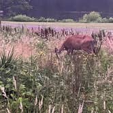 Review photo of Salt Fork State Park Campground by Laura  E., July 8, 2022