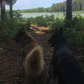 Review photo of Pinewoods Lake Rec Area — Mark Twain National Forest by Jen , July 9, 2022