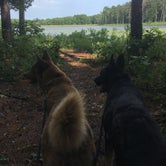 Review photo of Pinewoods Lake Campground by Jen , July 9, 2022