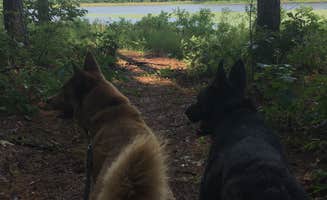 Jen's photo of camping with pets at Pinewoods Lake Rec Area — Mark Twain National Forest near Poplar Bluff, MO