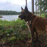 Review photo of Pinewoods Lake Rec Area — Mark Twain National Forest by Jen , July 9, 2022