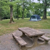 Review photo of Nickell Branch Campground by Alex M., July 9, 2022