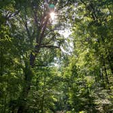 Review photo of Monte Sano State Park Campground by Alex M., July 9, 2022