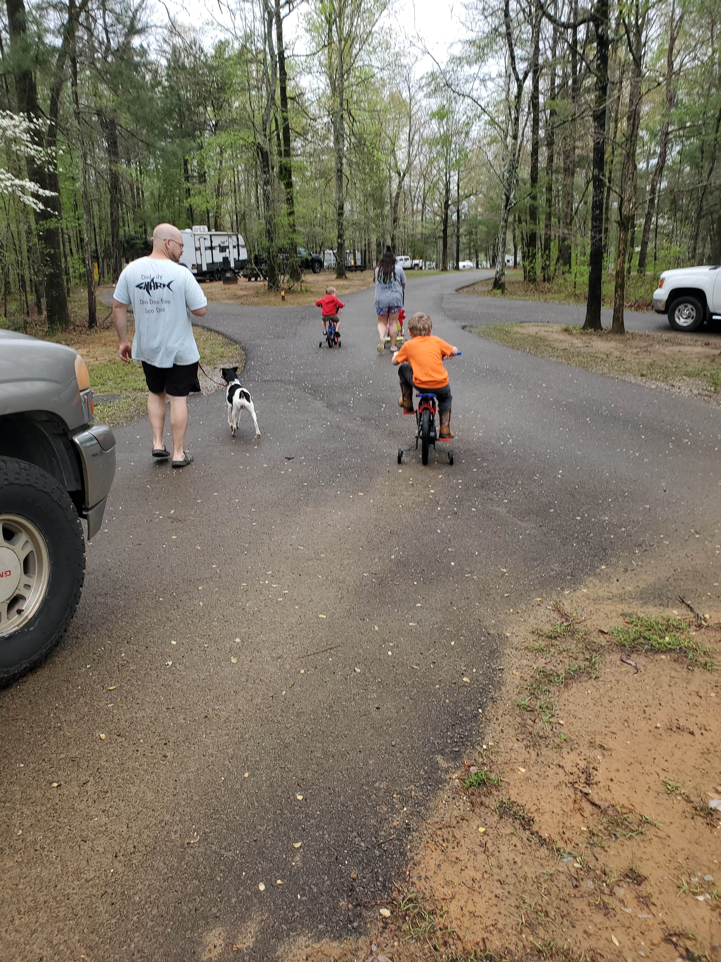 Olivia M.'s photo of camping with pets at Corinth Recreation Area near Haleyville, AL