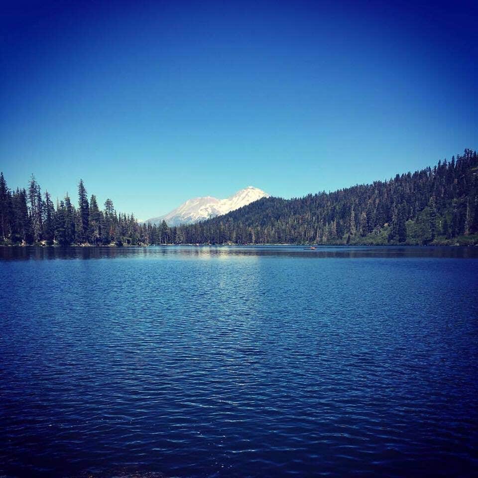 Camper submitted image from Castle Lake Campground - 3