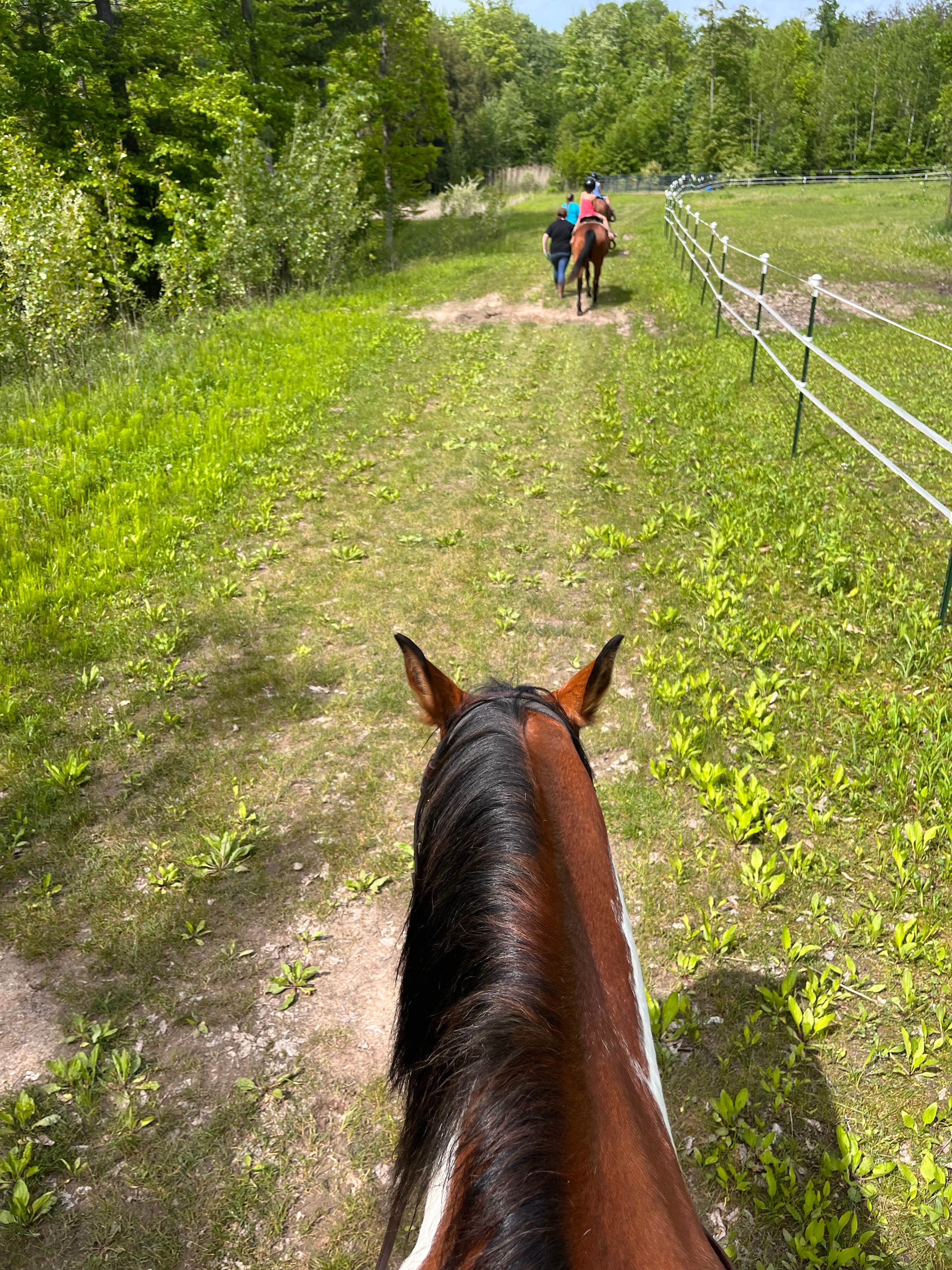 Camper-submitted photo at Duke Creek Campground near Sparta, MI
