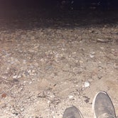 Review photo of Straits State Park Campground by cheyanne P., July 9, 2022