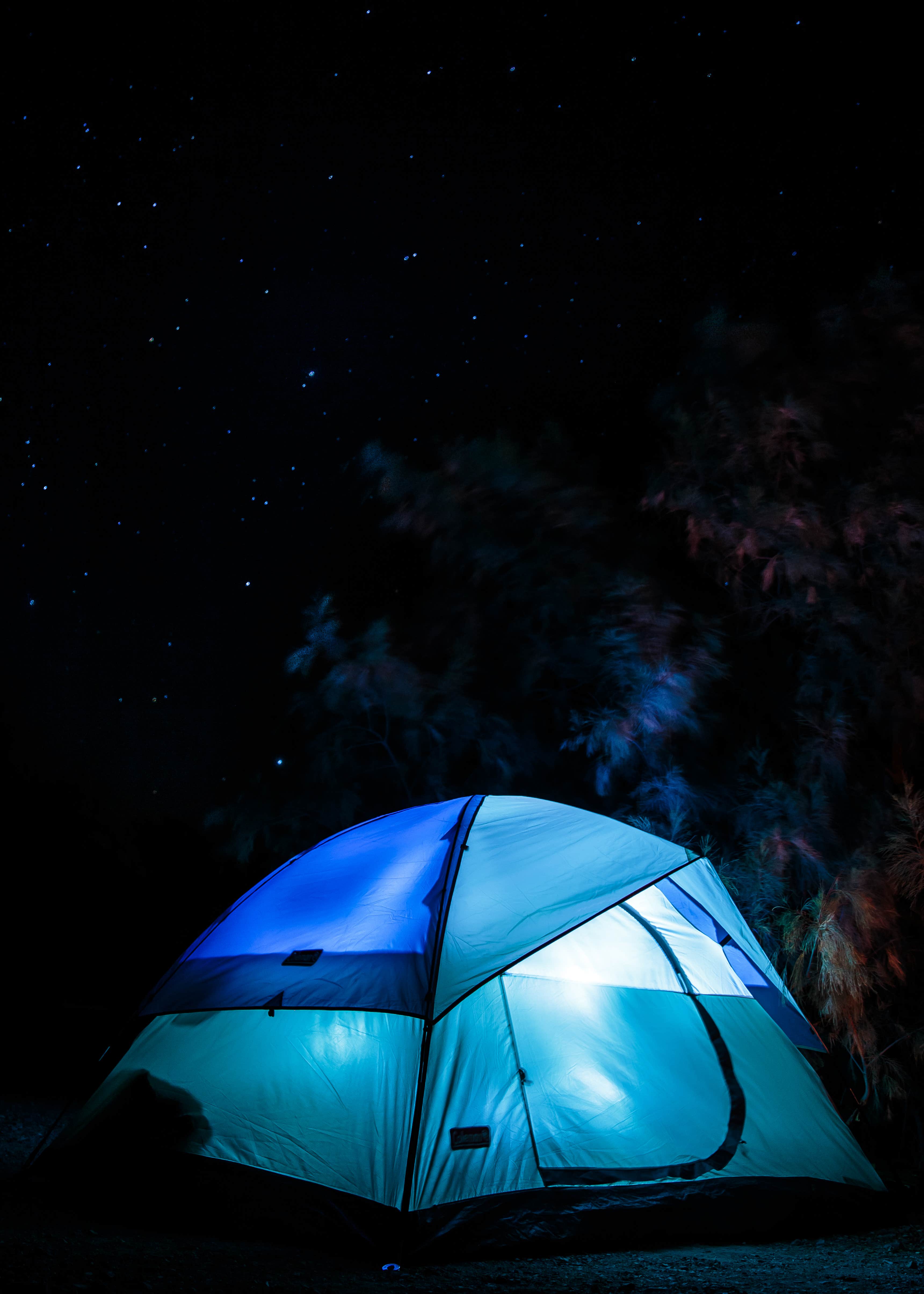 Camper submitted image from Texas Springs Campground — Death Valley National Park - 4