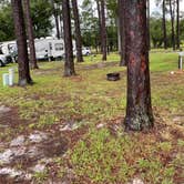 Review photo of Belle Bluff Island Campground by Ashley W., July 9, 2022