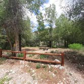 Review photo of Carbondale-Crystal River KOA by Cynthia K., July 4, 2022