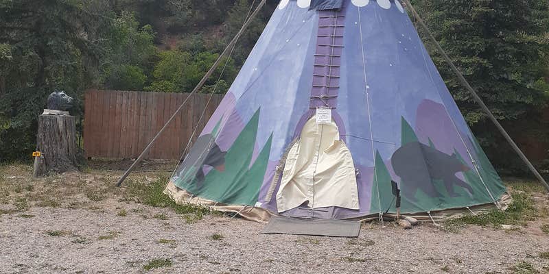 Camper submitted image from Carbondale-Crystal River KOA