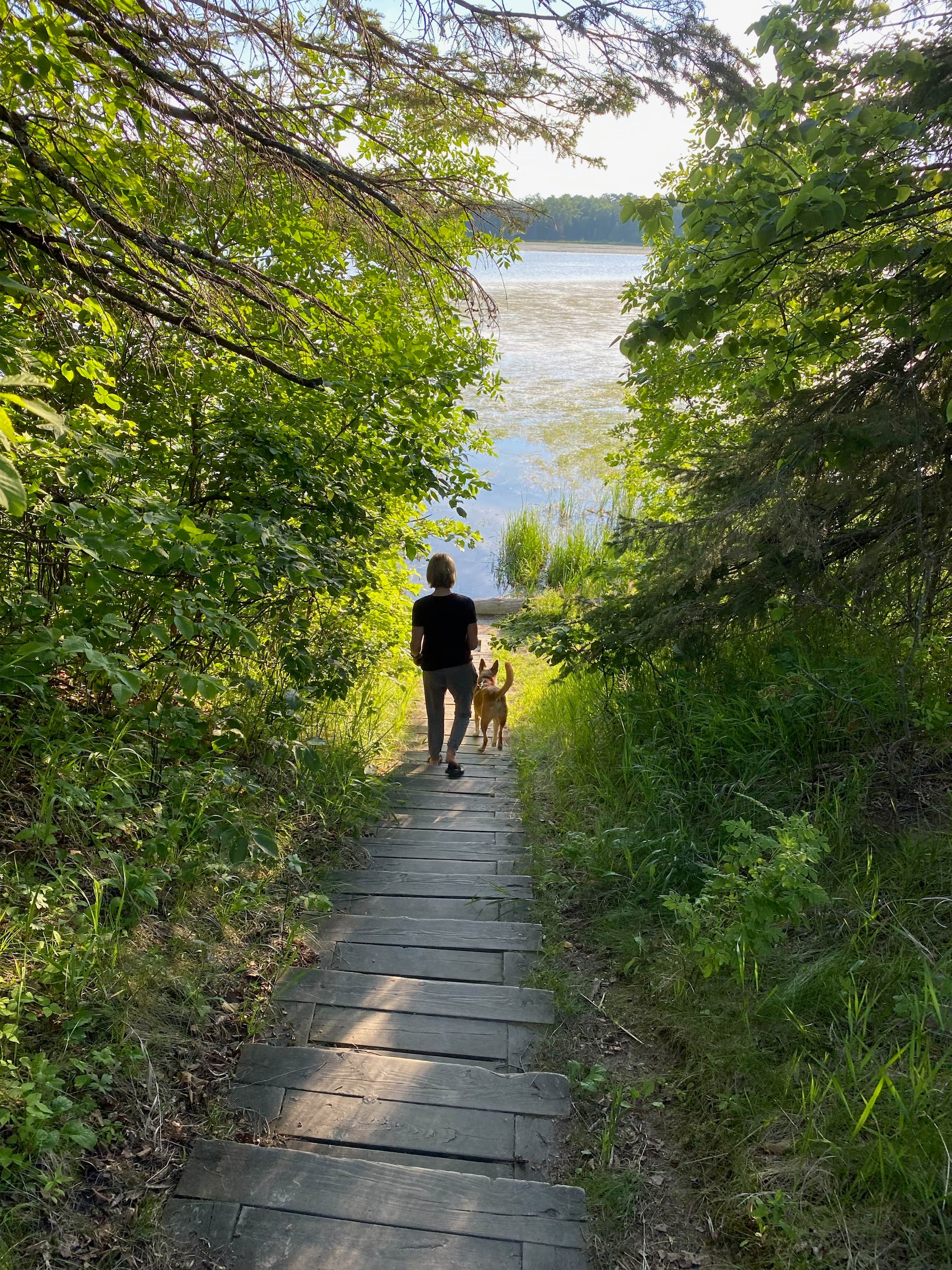 Donna H.'s photo of camping with pets at Bear Paw Campground — Itasca State Park near Midway, MN
