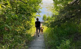 Donna H.'s photo of camping with pets at Bear Paw Campground — Itasca State Park near Midway, MN