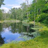 Review photo of Butterfly Camping Resort by deb K., July 9, 2022