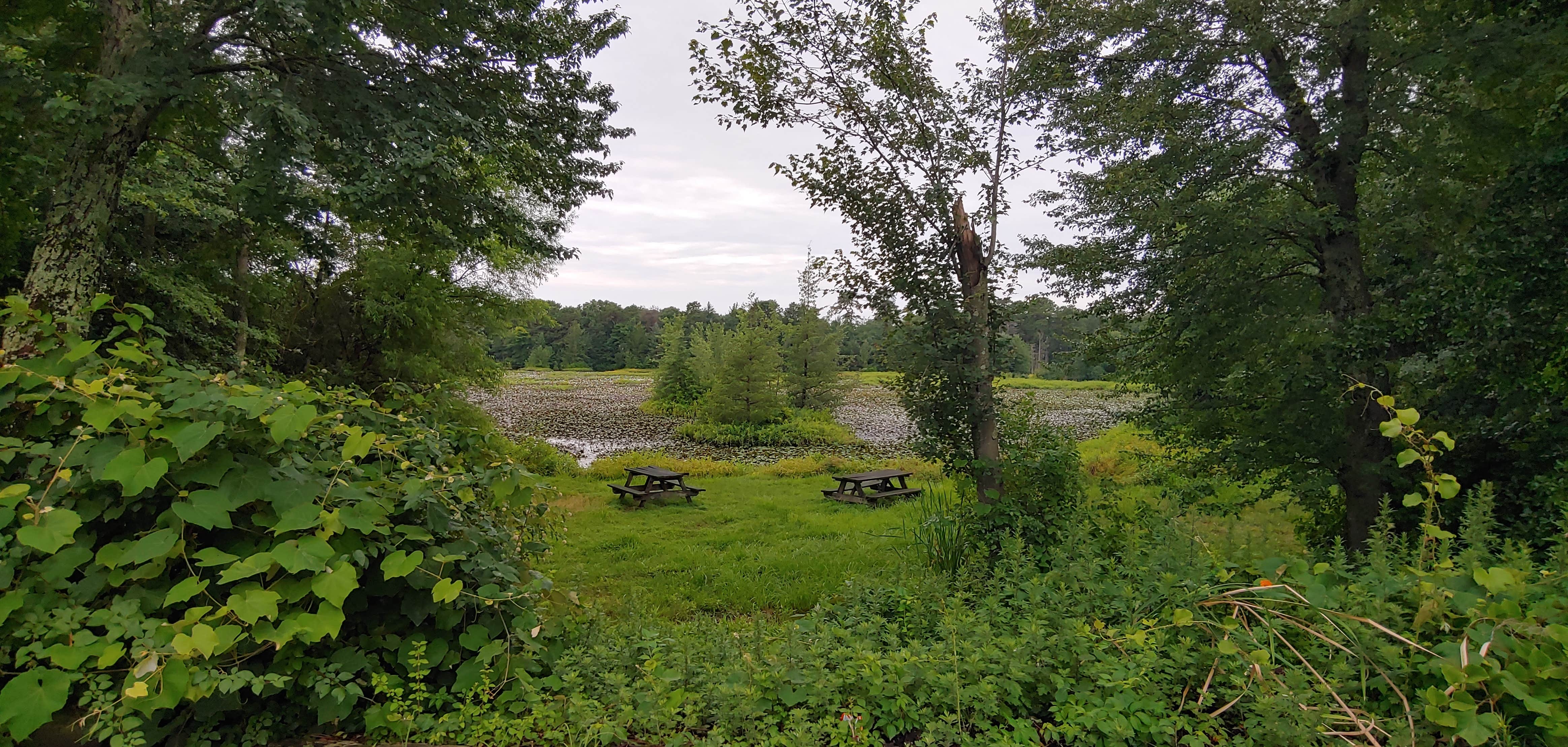 Camper-submitted photo at Butterfly Camping Resort near Lacey, NJ