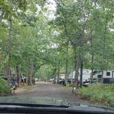 Review photo of Butterfly Camping Resort by deb K., July 9, 2022