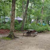 Review photo of Butterfly Camping Resort by deb K., July 9, 2022