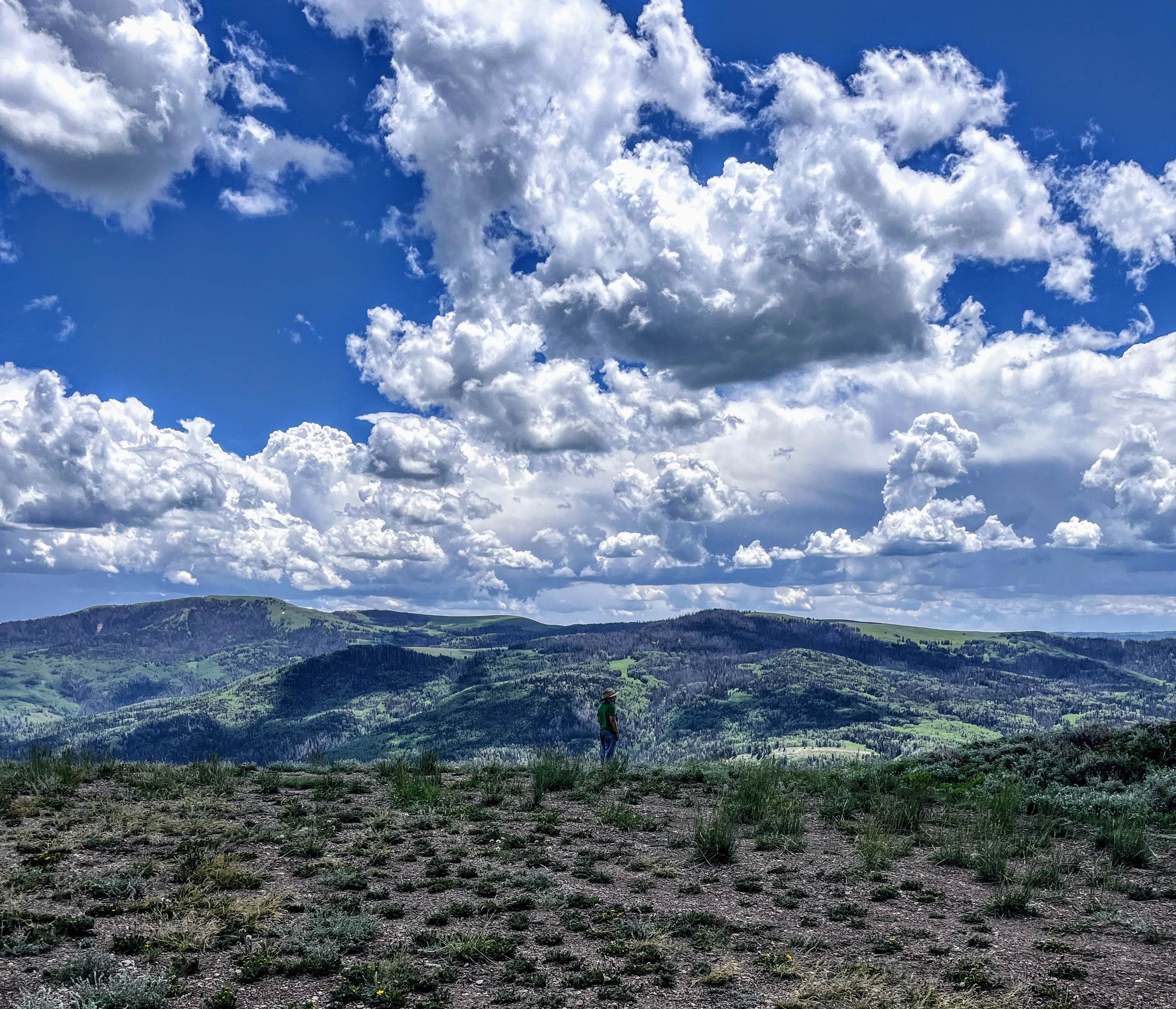 Toni M.'s photo of a dispersed camping area at Wolf Creek Pass Primitive Areas near Duchesne, UT
