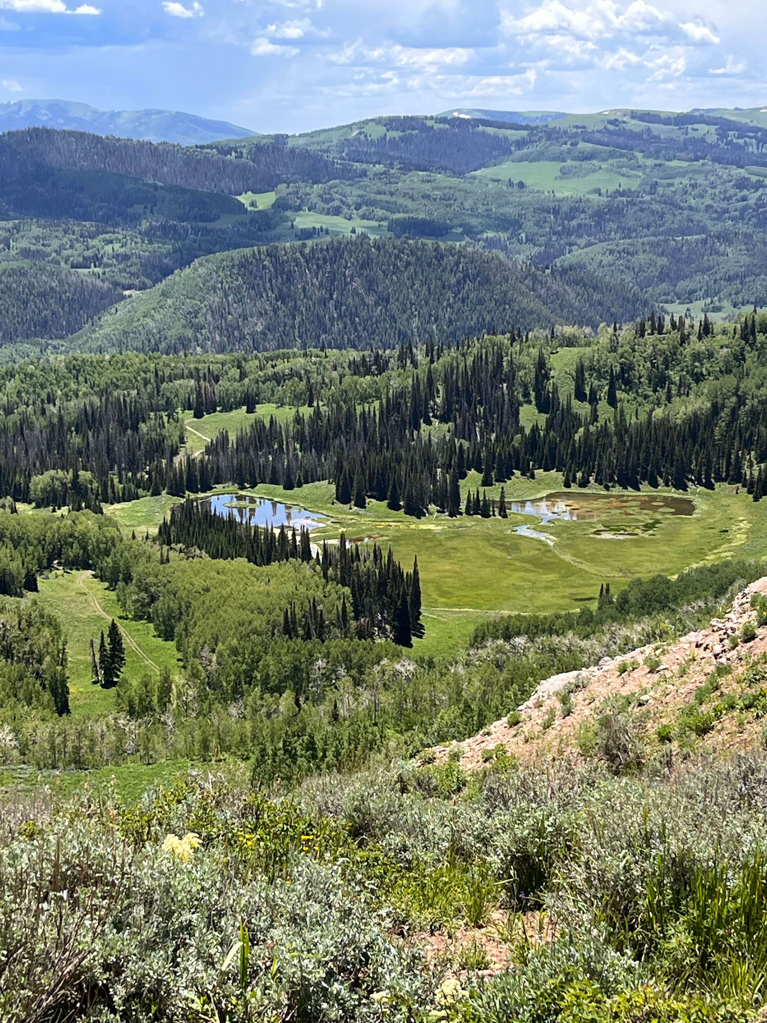 Camper-submitted photo at Wolf Creek Pass Primitive Areas near Tabiona, UT