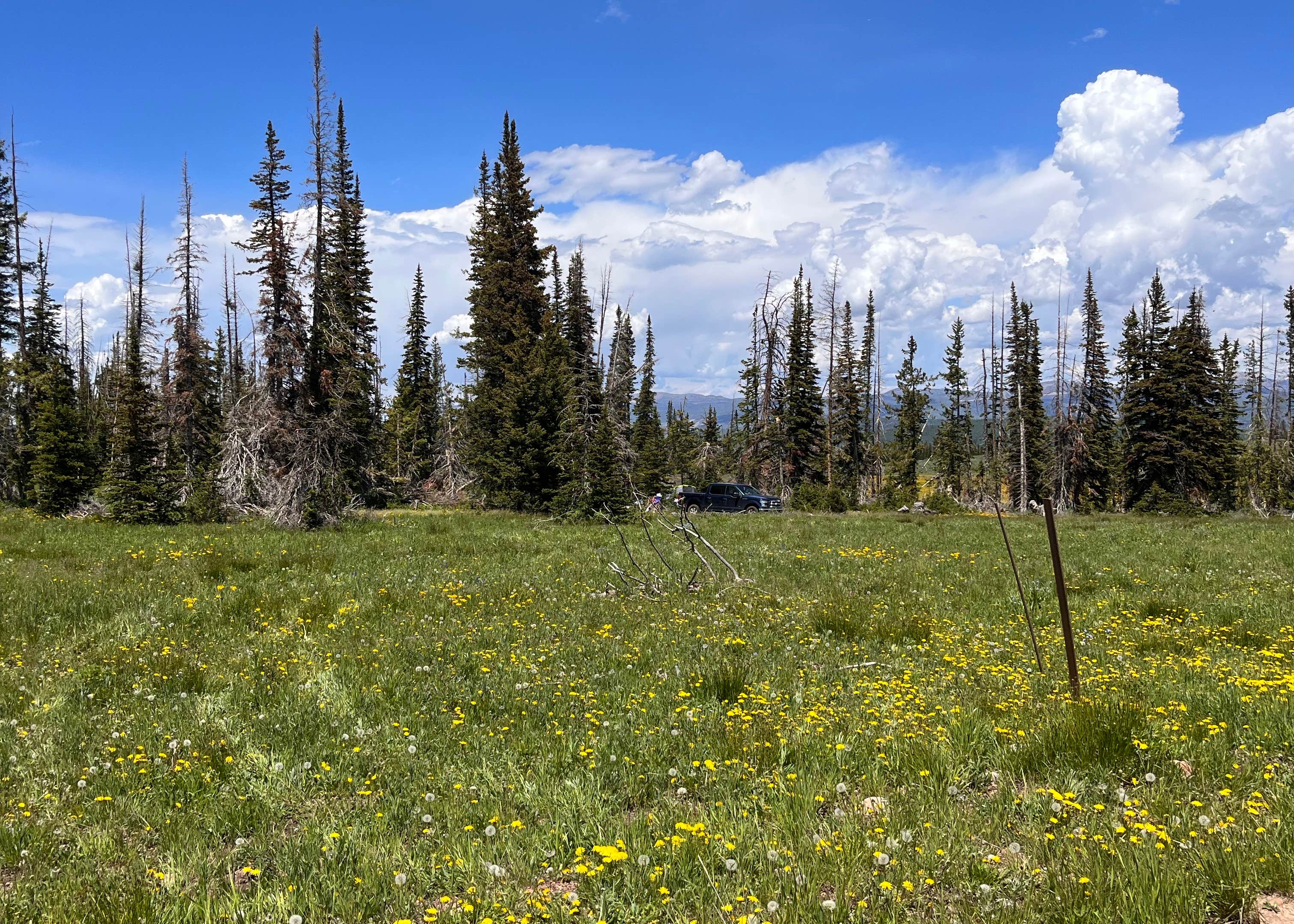 Wolf Creek Pass Primitive Areas Camping Soapstone Summer Home Area