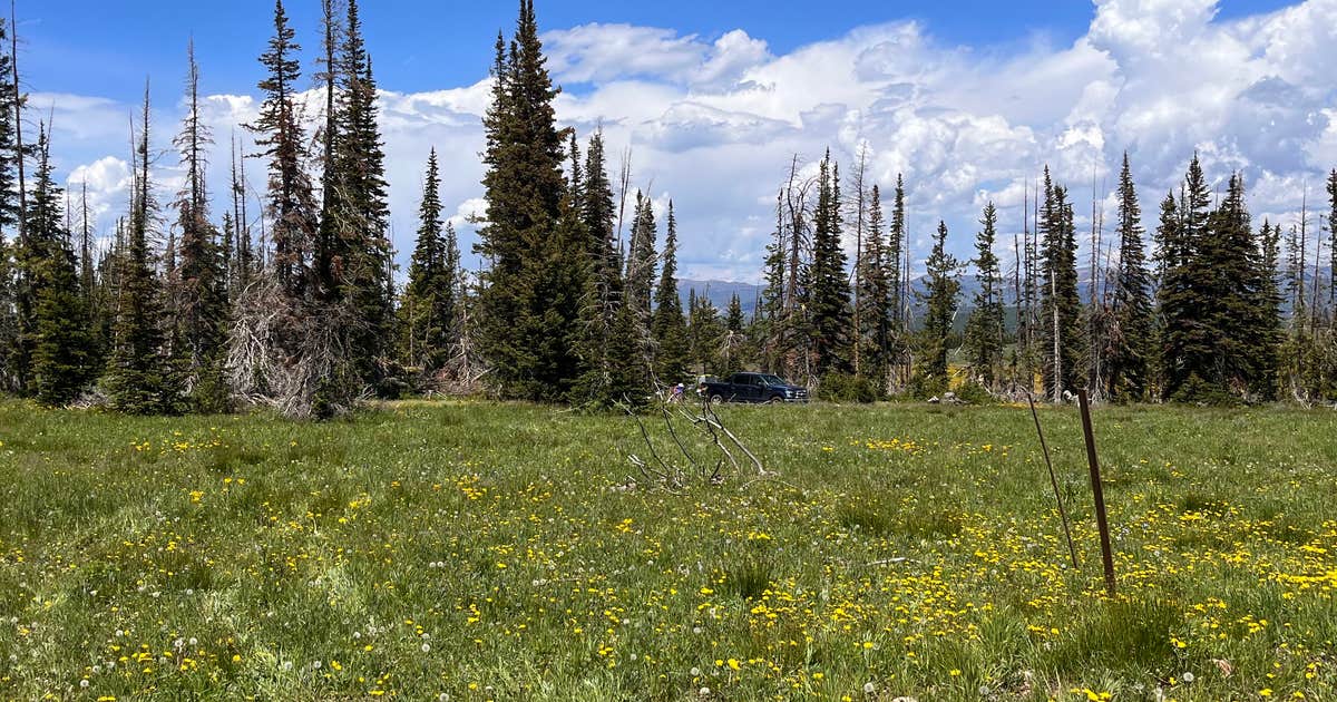 Wolf Creek Pass Primitive Areas