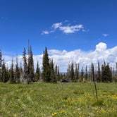 Review photo of Wolf Creek Pass Primitive Areas by Toni M., July 9, 2022
