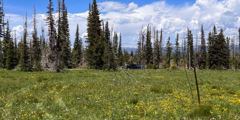 Camper submitted image from Wolf Creek Pass Primitive Areas