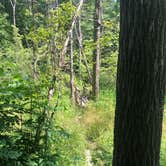 Review photo of Whitewater Memorial State Park Campground by Stephen  H., July 9, 2022