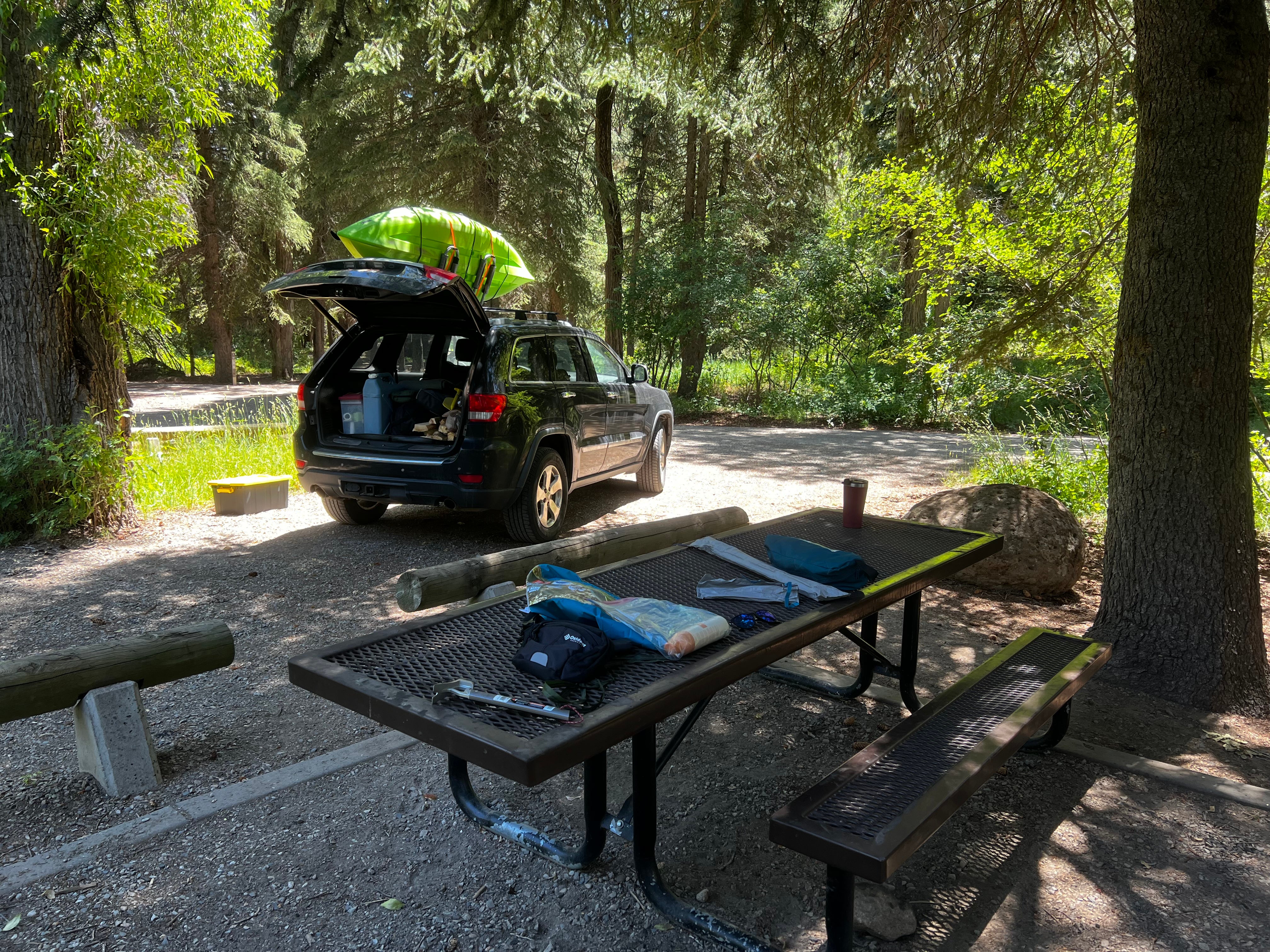 Camper submitted image from Paonia State Park Campground - 4