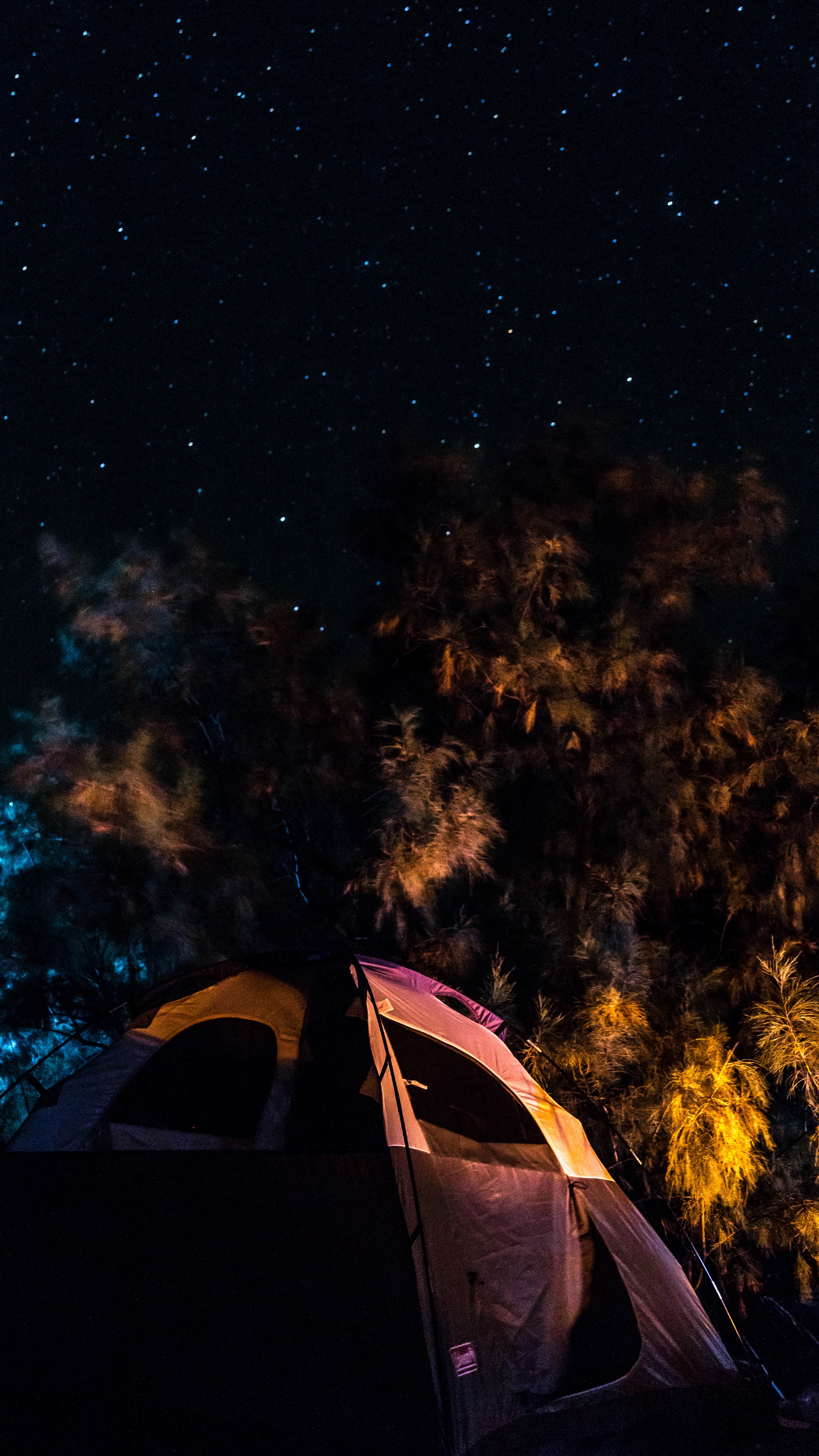 Camper submitted image from Texas Springs Campground — Death Valley National Park - 5