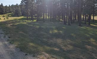Melody C.'s photo of camping with pets at Echo Basin Cabin and RV Resort near San Juan National Forest