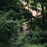 Review photo of Dunewood Campground — Indiana Dunes National Park by Danielle M., July 18, 2018