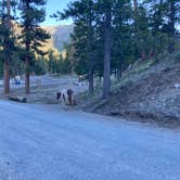 Review photo of McWilliams Campground by Veronica S., July 9, 2022