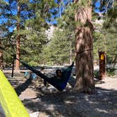 Review photo of McWilliams Campground by Veronica S., July 9, 2022