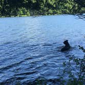 Review photo of Gilbert Lake State Park Campground by Erin G., July 18, 2018