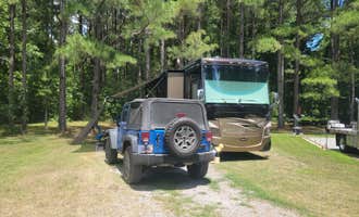 Camping near Merchants Millpond State Park Campground: Cashie River Campground and Treehouse Village, Windsor, North Carolina
