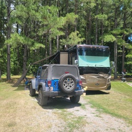 Cashie River Campground and Treehouse Village