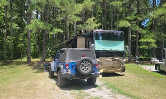 Camping near Dragon Ranch & Village : Cashie River Campground and Treehouse Village, Windsor, North Carolina