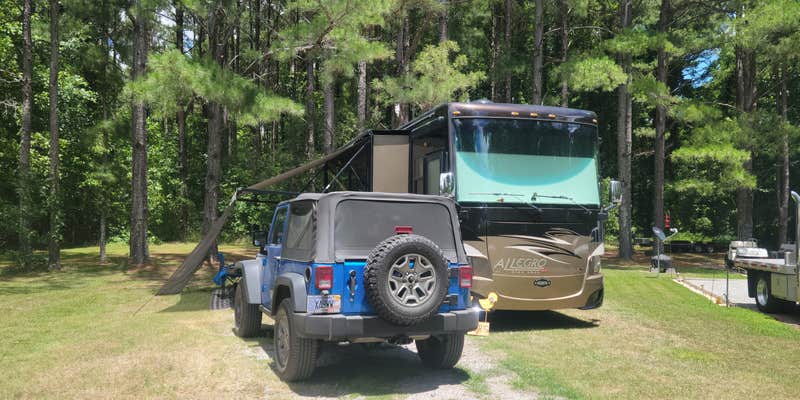 Camper submitted image from Cashie River Campground and Treehouse Village