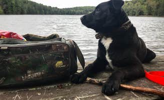 Erin G.'s photo of camping with pets at Gilbert Lake State Park Campground near South Plymouth, NY
