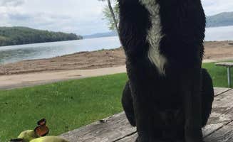 Erin G.'s photo of camping with pets at Glimmerglass State Park Campground near Oneonta, NY