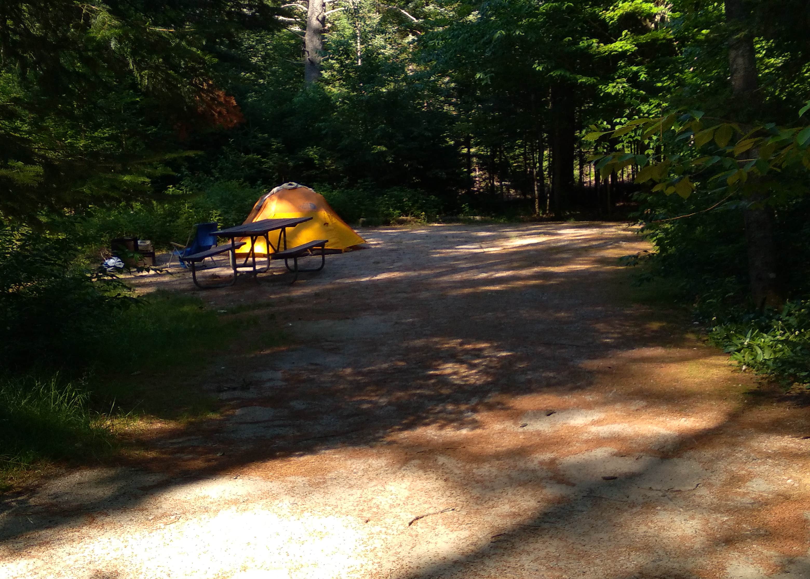 Jigger Johnson Campground Camping The Dyrt