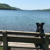 Review photo of Glimmerglass State Park Campground by Erin G., July 18, 2018