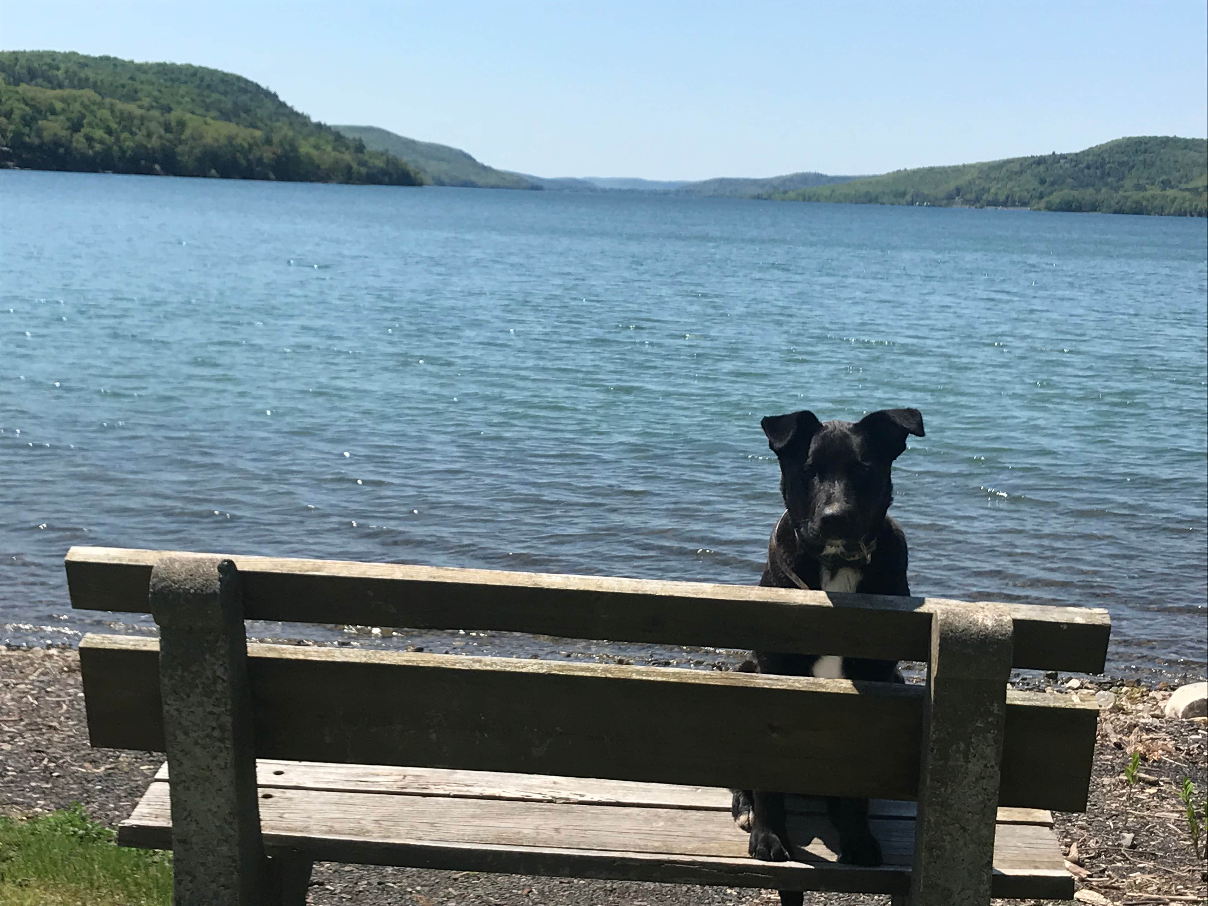 Glimmerglass State Park Campground | Cooperstown, NY