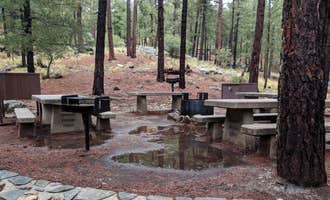Camping near Peppersauce Campground: Spencer Canyon Campground, Mount Lemmon, Arizona