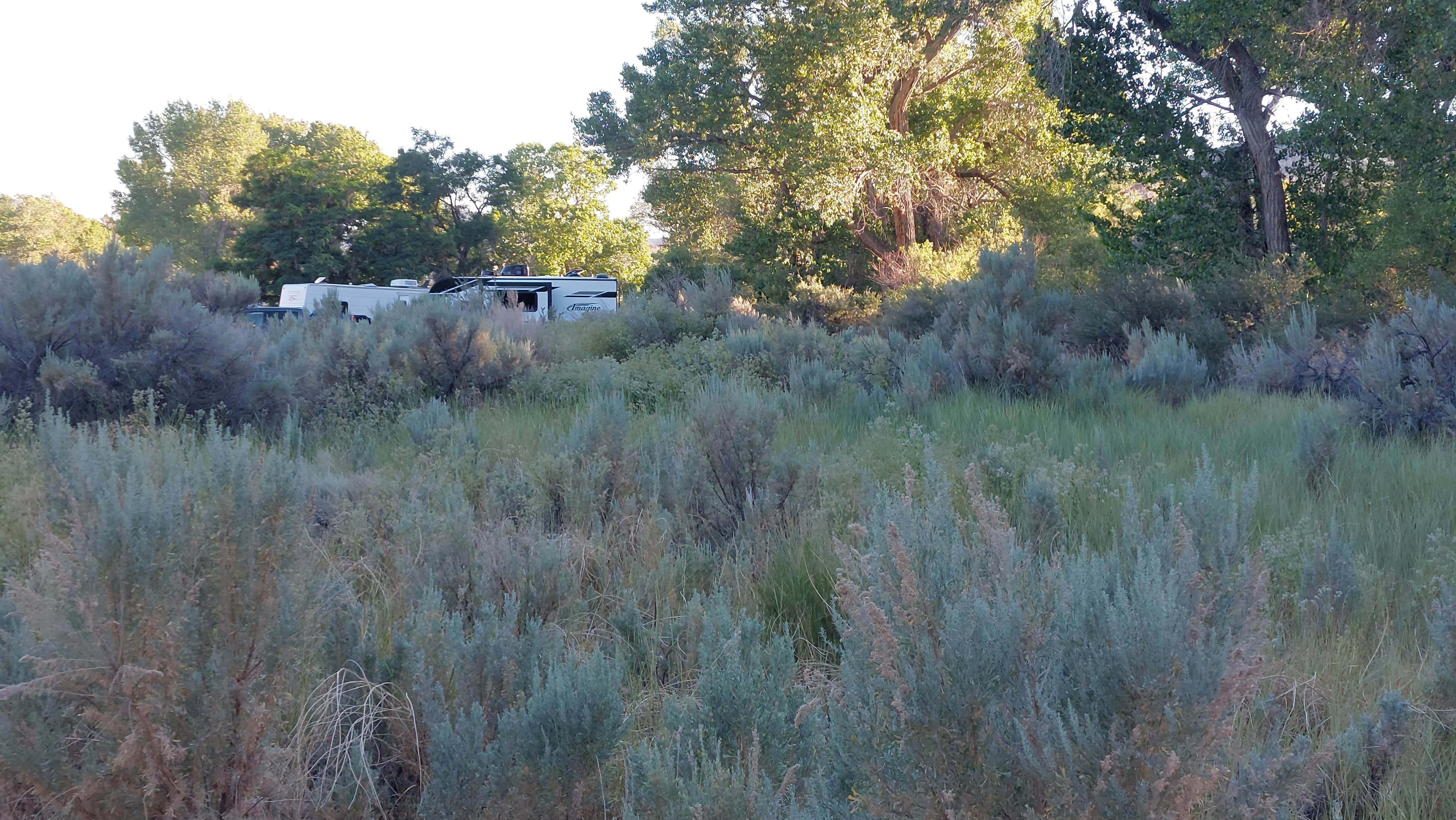 Camper-submitted photo at Dayton State Park Campground near Virginia City, NV