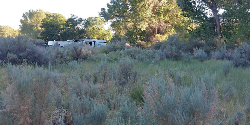 Camper submitted image from Dayton State Park Campground