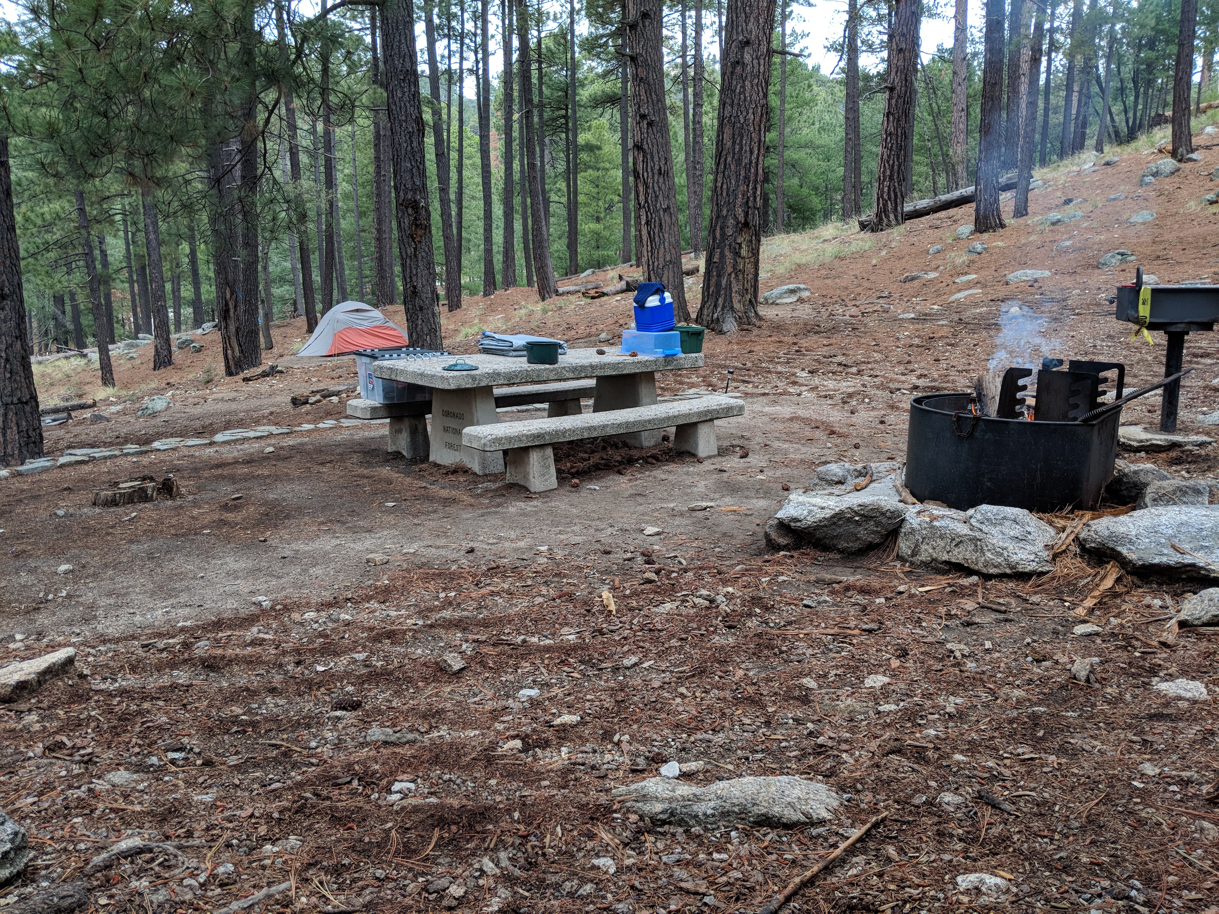 Camper submitted image from Spencer Canyon Campground - 5